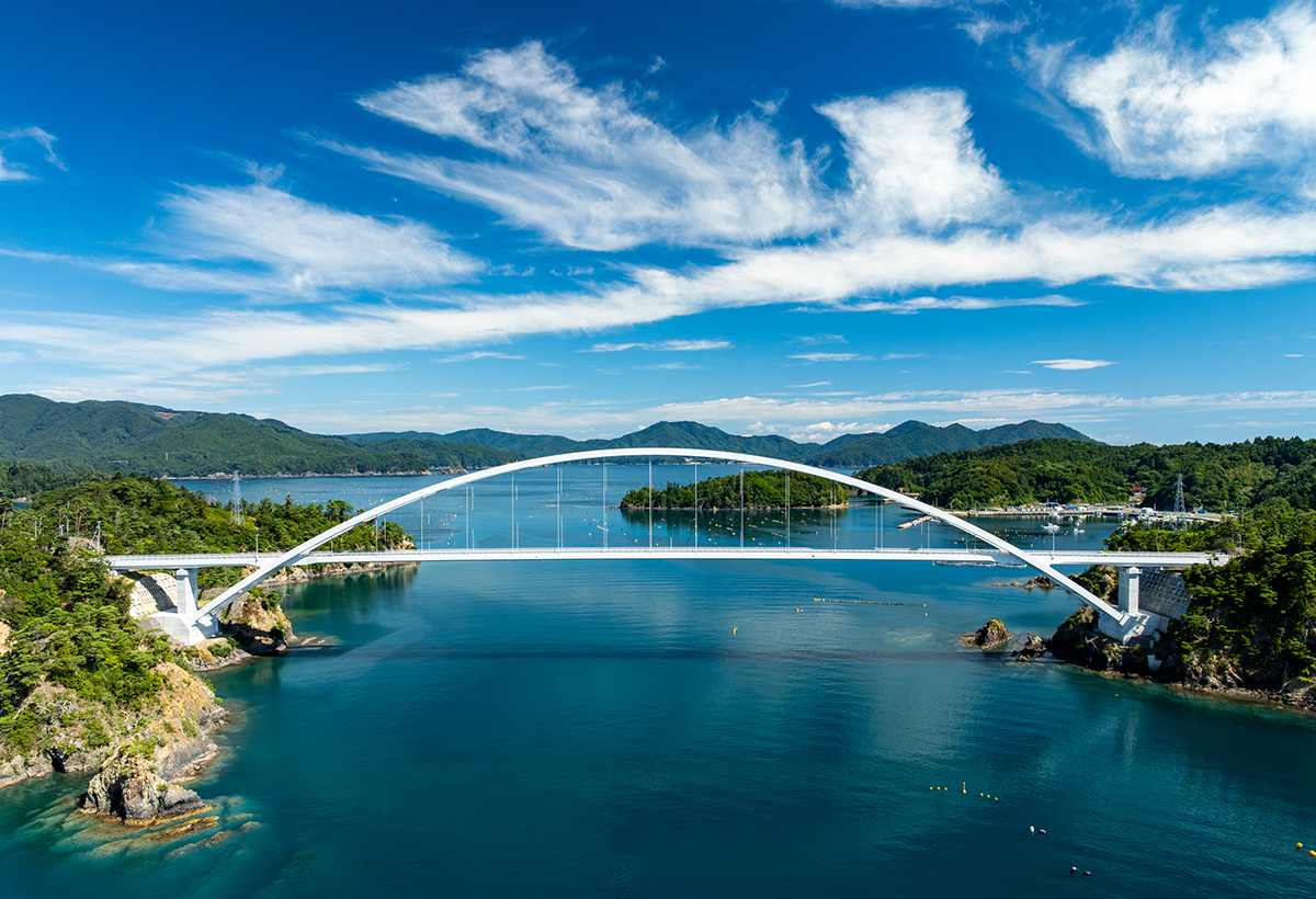 いのちの道の画像(1/2枚目)