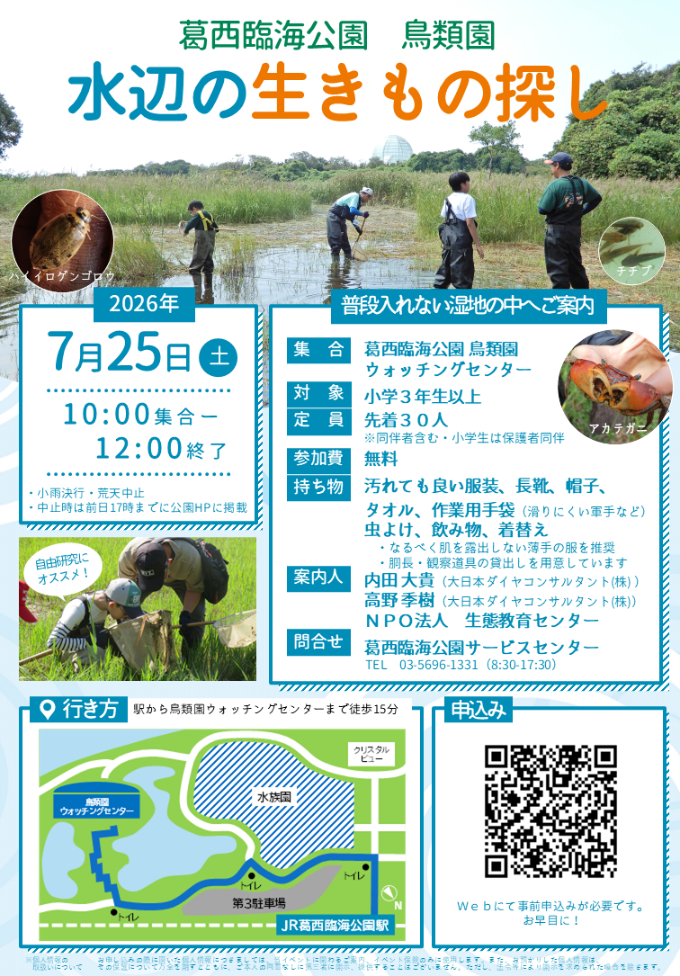 葛西臨海公園鳥類園水辺の生きもの探し.png