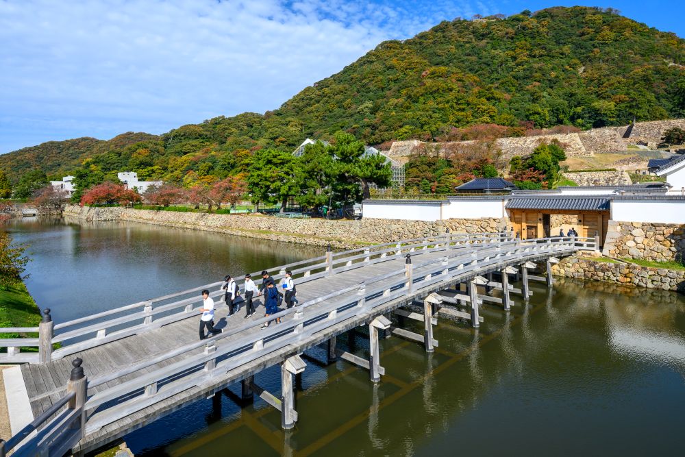 大日本ダイヤコンサルタント, 擬宝珠橋