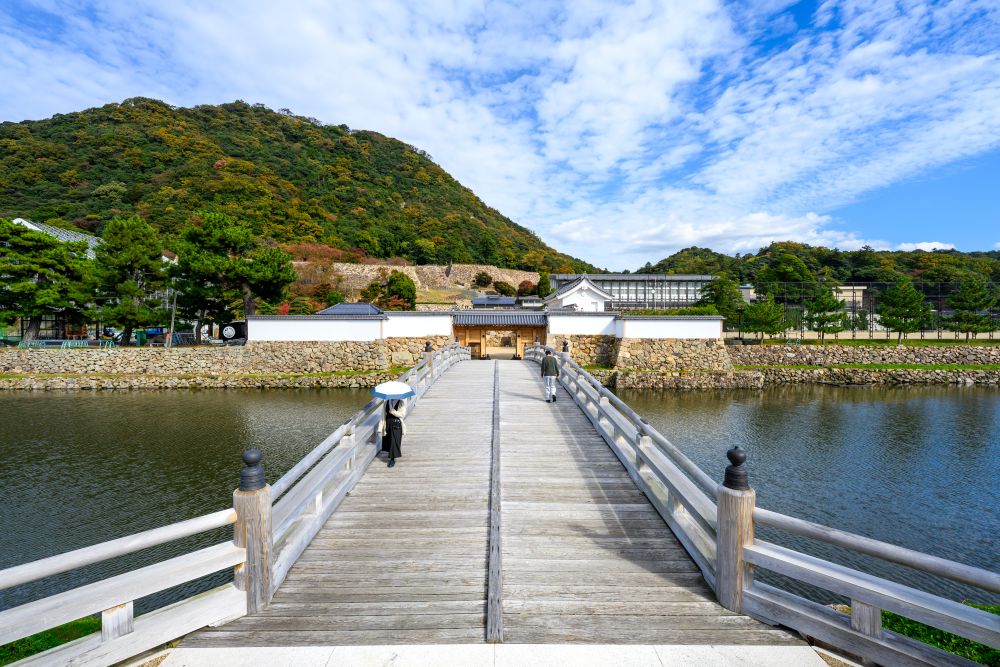 大日本ダイヤコンサルタント, 擬宝珠橋