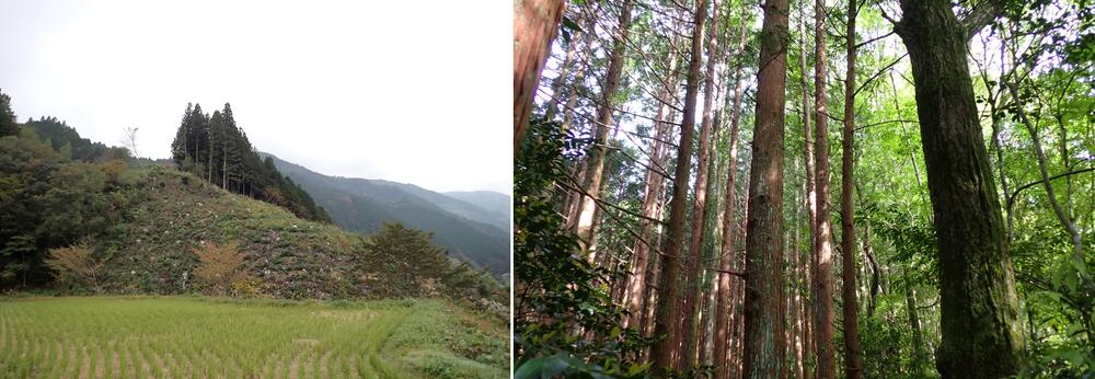 大日本ダイヤコンサルタント株式会社